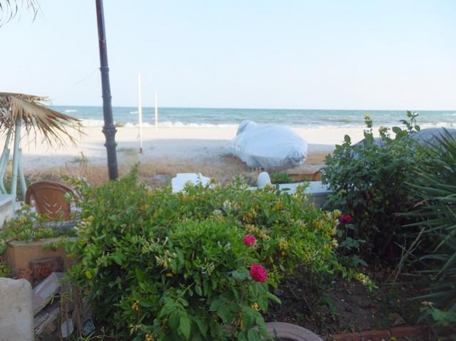 Name:  DSCF6491.jpg
Views: 250
Size:  42.8 KB