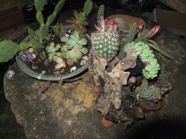 Name:  DSCF6514.jpg
Views: 252
Size:  52.1 KB
