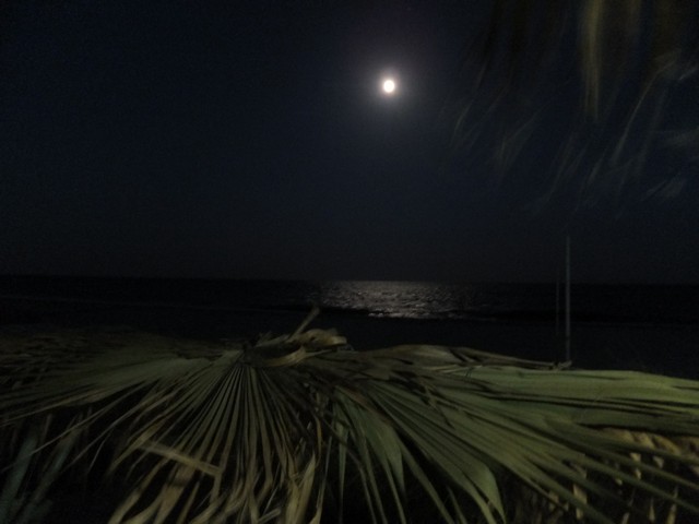 Name:  DSCF6570.jpg
Views: 197
Size:  52.7 KB