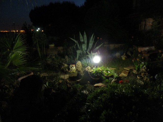 Name:  DSCF6574.jpg
Views: 213
Size:  63.6 KB