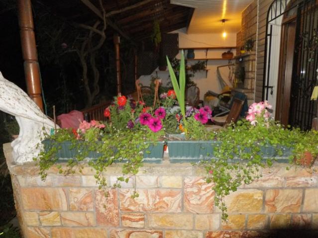 Name:  DSCF6578.jpg
Views: 200
Size:  52.7 KB
