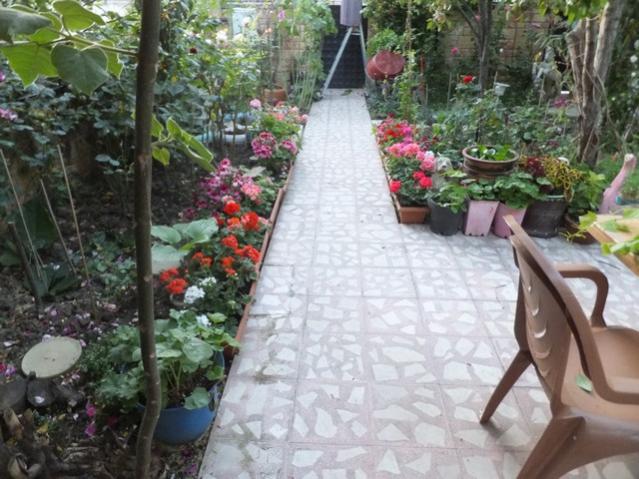 Name:  DSCF6689.jpg
Views: 198
Size:  59.1 KB