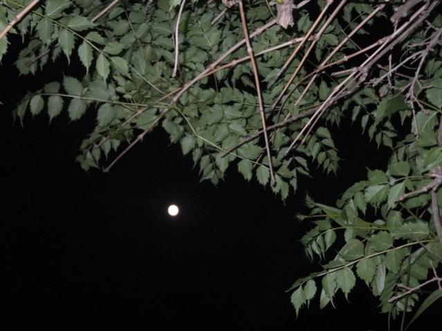 Name:  DSCF6607.jpg
Views: 196
Size:  43.6 KB