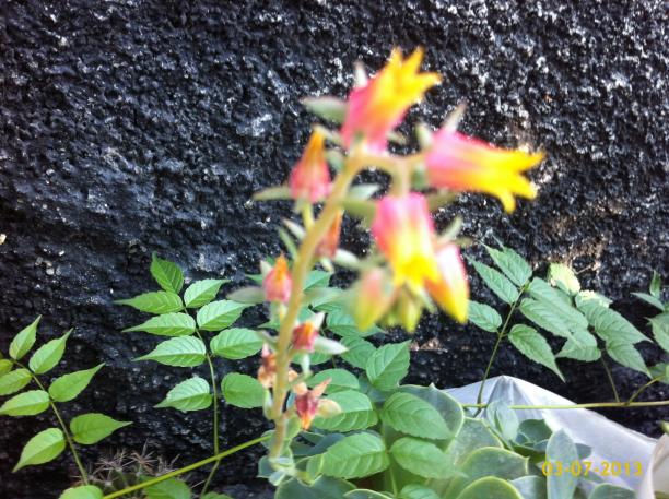 Name:  image.jpg
Views: 399
Size:  71.7 KB