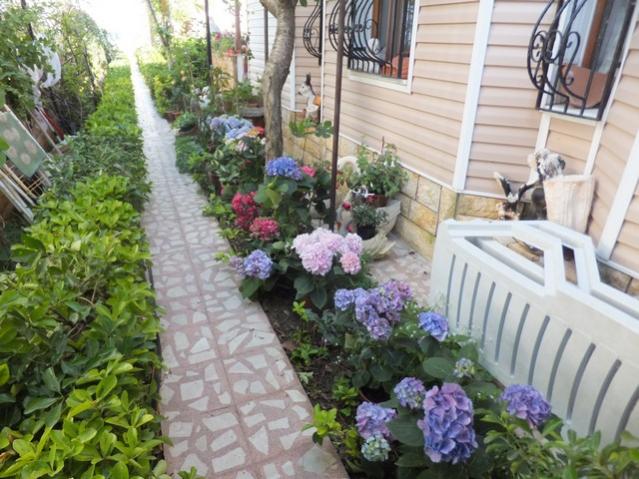 Name:  DSCF6663.jpg
Views: 351
Size:  63.3 KB
