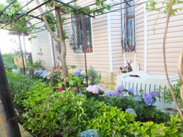 Name:  DSCF6665.jpg
Views: 347
Size:  68.3 KB