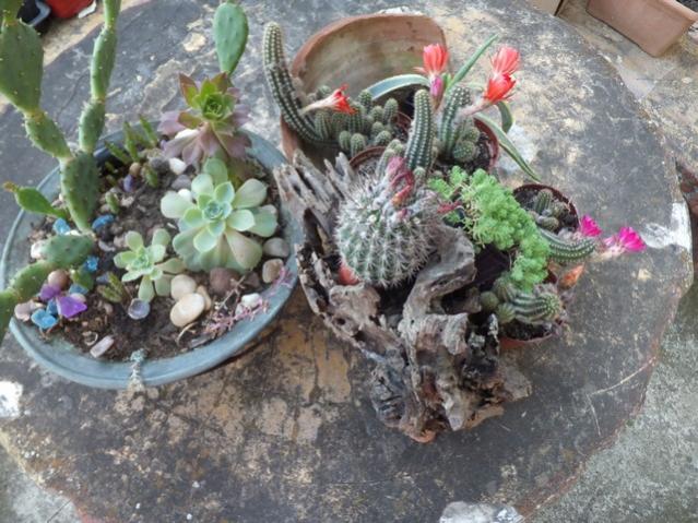Name:  DSCF6678.jpg
Views: 325
Size:  64.8 KB
