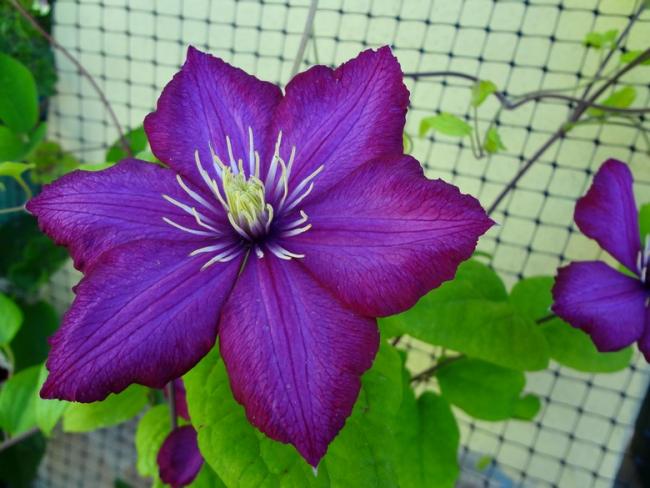 Name:  clmts.jpg
Views: 1210
Size:  48.1 KB