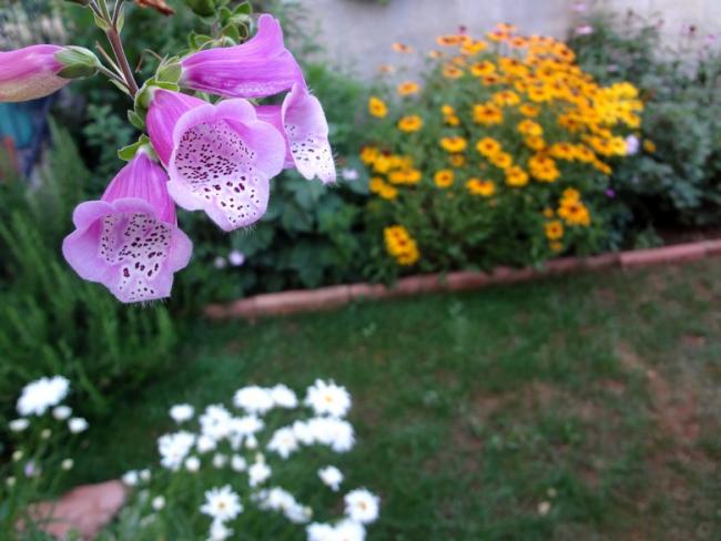 Name:  ykskotu.jpg
Views: 887
Size:  44.9 KB