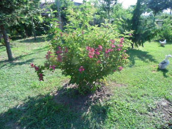 Name:  05-005.jpg
Views: 752
Size:  72.2 KB
