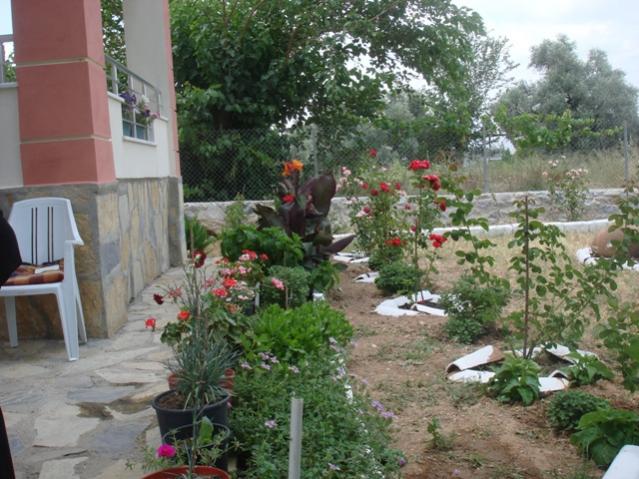 Name:  DSC06656.jpg
Views: 528
Size:  62.4 KB