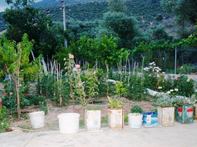 Name:  DSC06683.jpg
Views: 494
Size:  63.8 KB