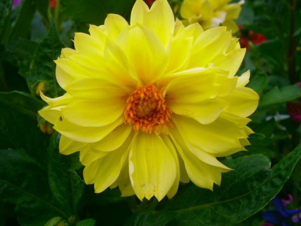 Name:  sar.jpg
Views: 930
Size:  51.7 KB