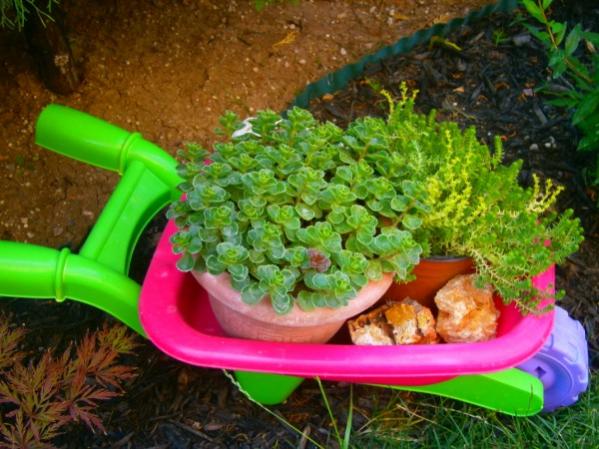 Name:  sedum2.jpg
Views: 952
Size:  54.2 KB