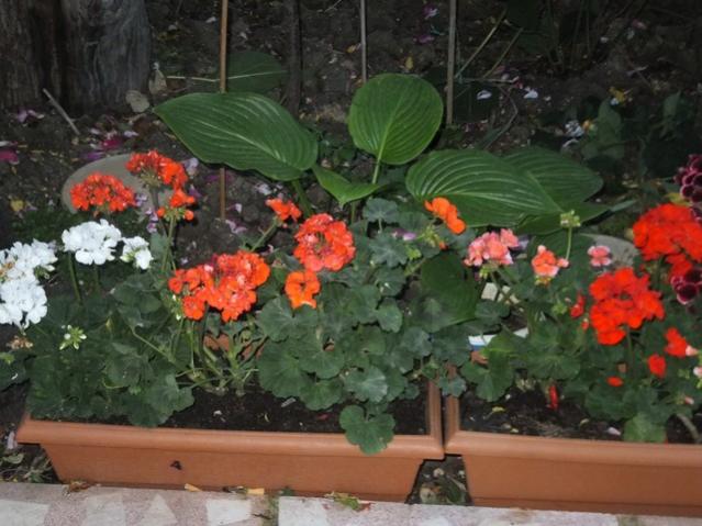 Name:  DSCF6696.jpg
Views: 329
Size:  50.1 KB