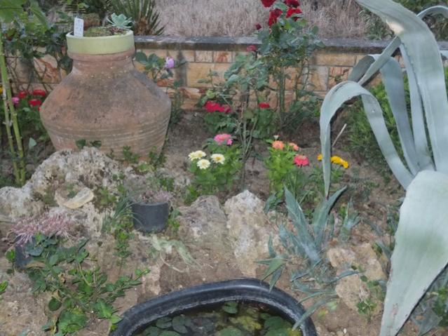 Name:  DSCF6721.jpg
Views: 256
Size:  58.3 KB