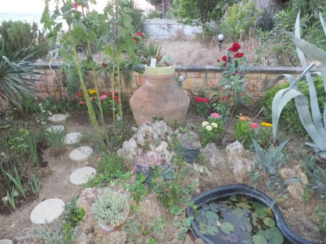 Name:  DSCF6722.jpg
Views: 277
Size:  64.6 KB