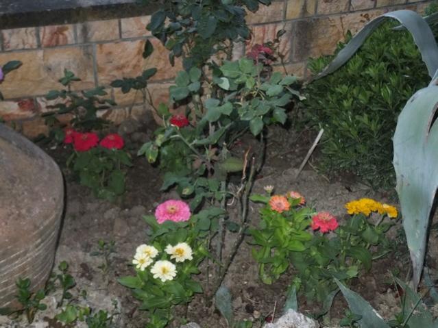 Name:  DSCF6728.jpg
Views: 264
Size:  53.3 KB