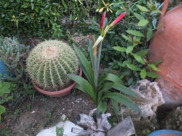 Name:  DSCF6755.jpg
Views: 261
Size:  54.8 KB
