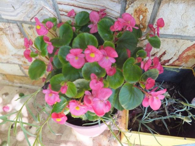 Name:  DSCF6772.jpg
Views: 258
Size:  52.8 KB
