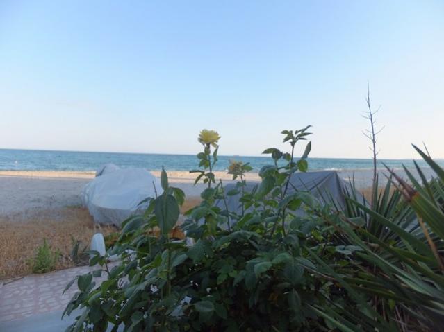 Name:  DSCF6791.jpg
Views: 261
Size:  32.4 KB