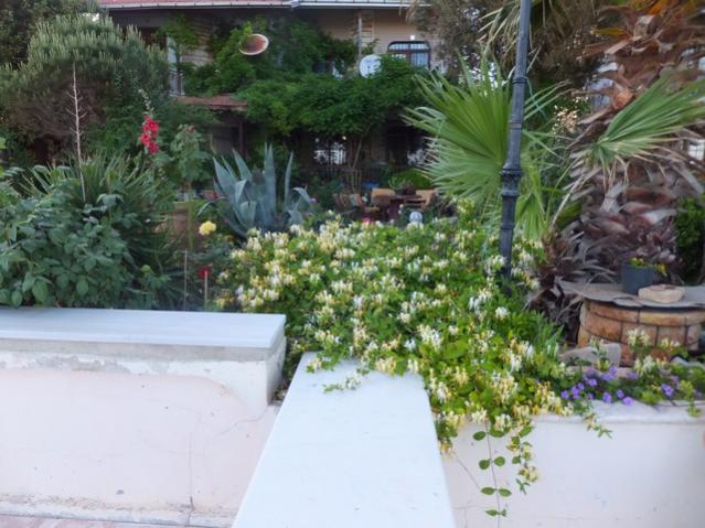 Name:  DSCF6800.jpg
Views: 258
Size:  55.2 KB