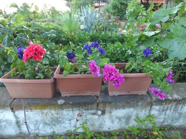 Name:  DSCF6807.jpg
Views: 237
Size:  65.7 KB