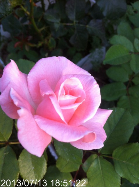 Name:  IMG_5936.jpg
Views: 351
Size:  59.7 KB