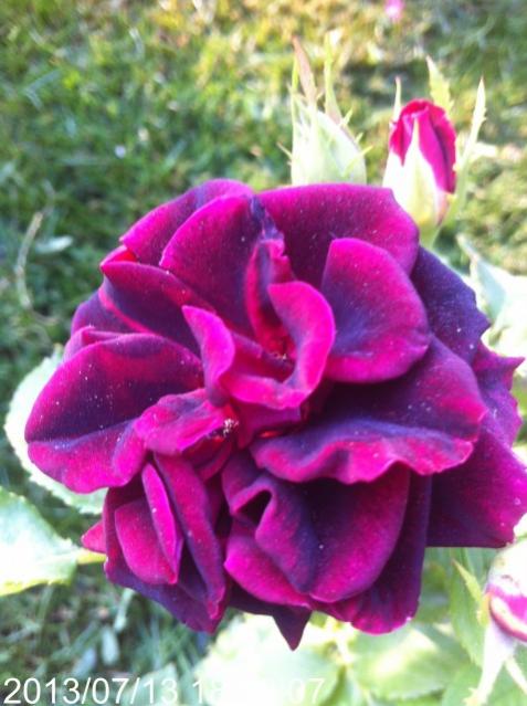 Name:  IMG_5938.jpg
Views: 355
Size:  47.7 KB
