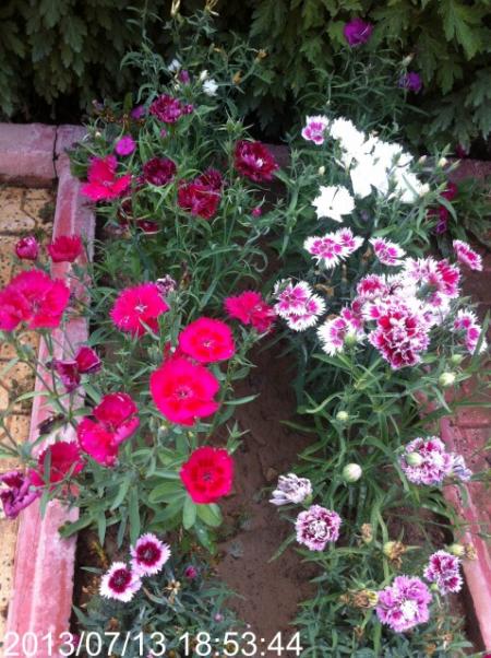 Name:  IMG_5945.jpg
Views: 530
Size:  65.9 KB