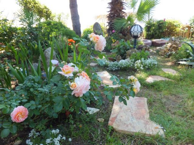 Name:  DSCF6948.jpg
Views: 243
Size:  68.4 KB
