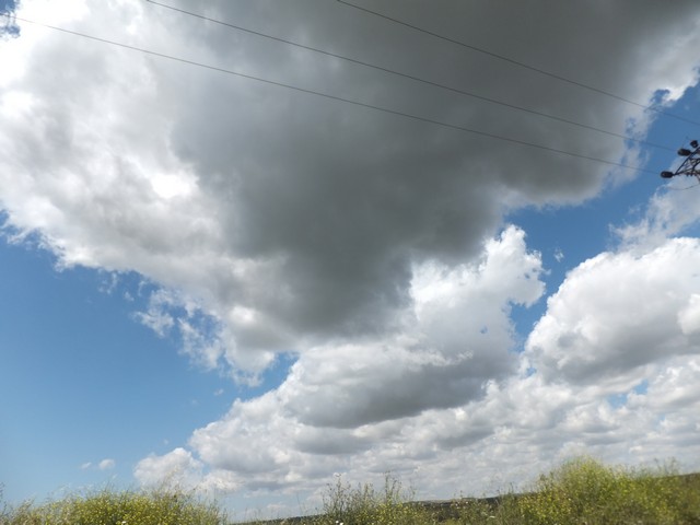Name:  DSCF7002.jpg
Views: 233
Size:  58.3 KB