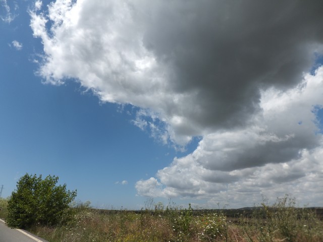 Name:  DSCF7004.jpg
Views: 241
Size:  63.1 KB
