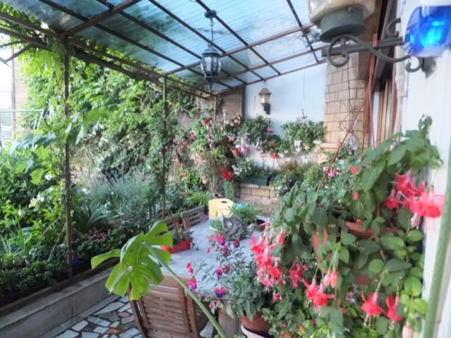 Name:  DSCF7088.jpg
Views: 378
Size:  66.3 KB