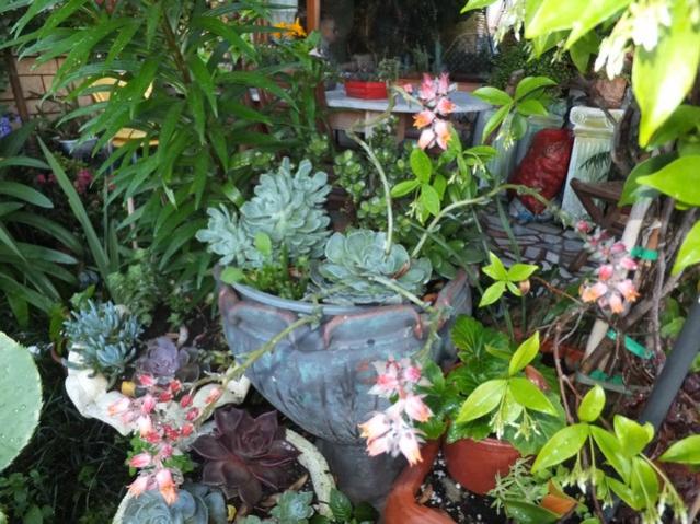Name:  DSCF7090.jpg
Views: 331
Size:  68.0 KB
