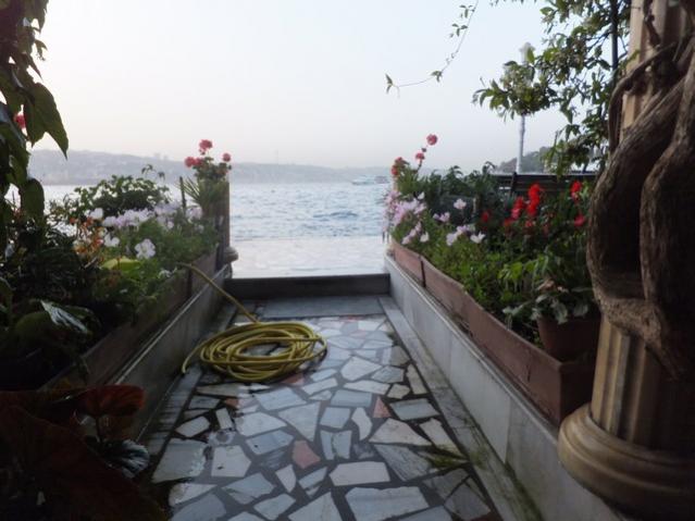 Name:  DSCF7190.jpg
Views: 293
Size:  42.8 KB