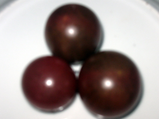 Name:  IMG_2507.JPG
Views: 1239
Size:  52.3 KB