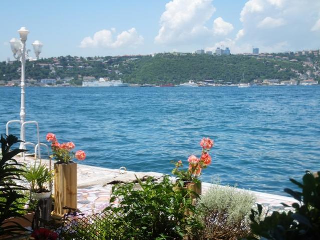 Name:  DSCF7212.jpg
Views: 324
Size:  56.4 KB