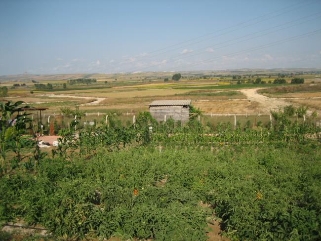 Name:  atalca 020.jpg
Views: 1309
Size:  64.6 KB