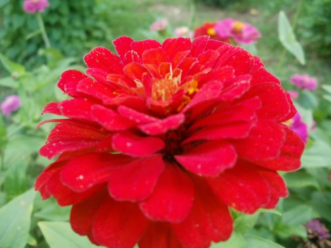Name:  P1010110a.jpg
Views: 284
Size:  37.2 KB