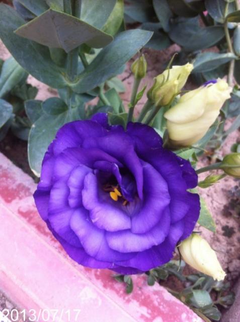 Name:  IMG_6005.jpg
Views: 446
Size:  41.9 KB