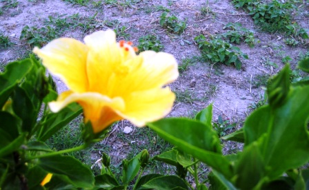 Name:  IMG_4204.JPG
Views: 1316
Size:  67.8 KB