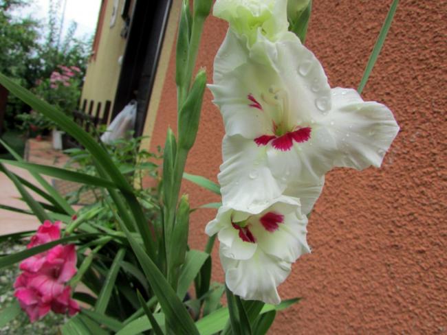 Name:  IMG_8146.jpg
Views: 717
Size:  48.8 KB