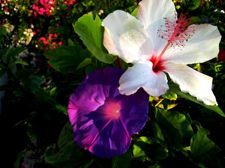 Name:  IMG_1556.JPG
Views: 1286
Size:  35.1 KB