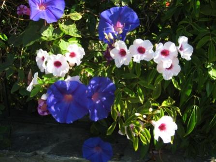 Name:  IMG_2029.jpg
Views: 1249
Size:  30.7 KB