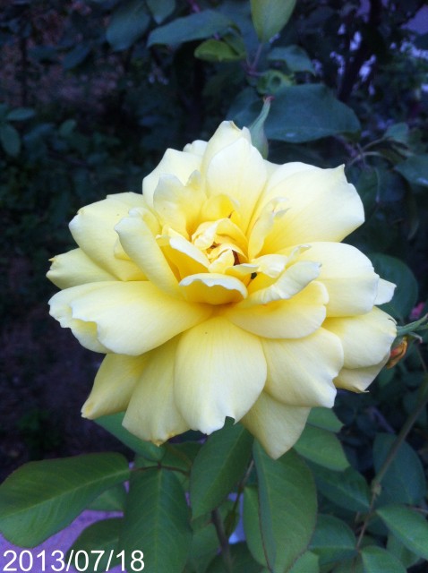 Name:  IMG_6036.jpg
Views: 370
Size:  61.6 KB