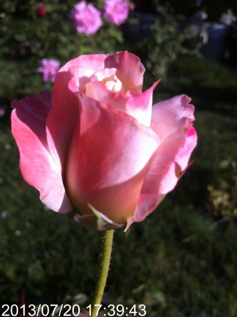 Name:  IMG_6060.jpg
Views: 996
Size:  58.1 KB