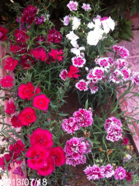 Name:  IMG_6029.jpg
Views: 988
Size:  65.1 KB