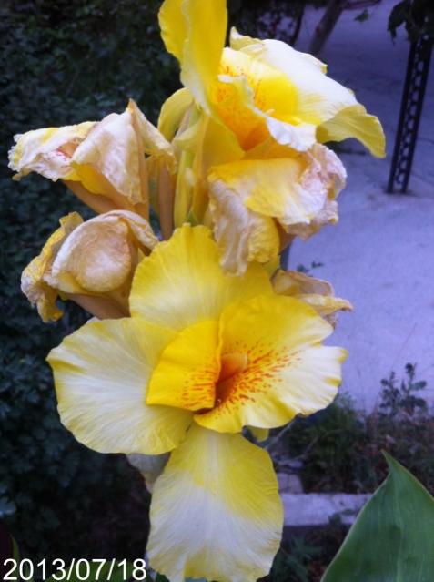 Name:  IMG_6035.jpg
Views: 988
Size:  41.0 KB