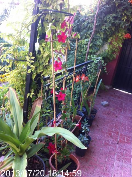Name:  IMG_6075.jpg
Views: 993
Size:  64.7 KB